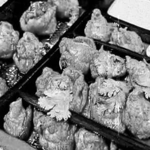 Fried Afghani Cfm Chicken Momos