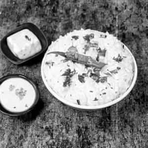 Curd Rice