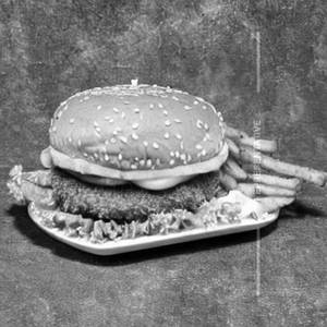 Crispy Chicken Burger