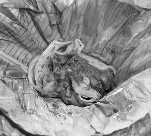 Porota Kizhikettu Chicken