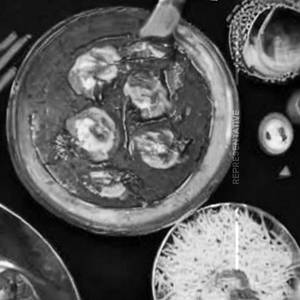 Kashmiri Mutton Rogan Josh