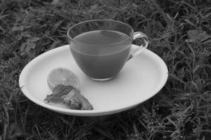 Lemon Tea  (2 Serve 220ml)