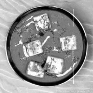 Paneer Butter Masala