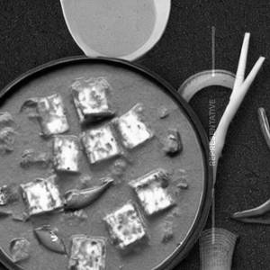 Kadai Aachari Paneer