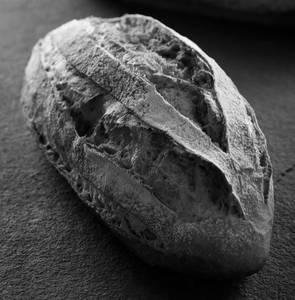 Whole Wheat Bread