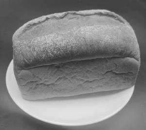 Whole Wheat Loaf