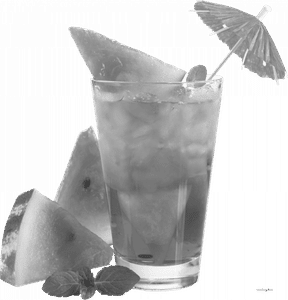 Watermelon Mojito
