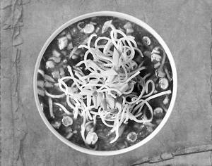 Manchow Soup