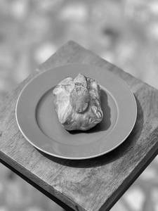 Chicken Envelope
