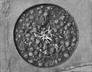 Punjabi Chole Masala