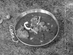 Chicken Kadai