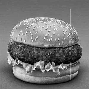 Cheese Burger