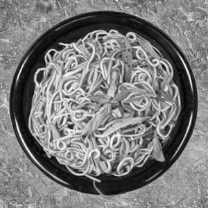 Veg Traditional Style Noodles