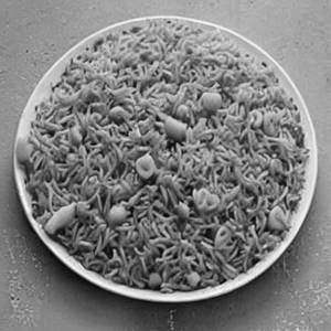 Chow Chow Rice