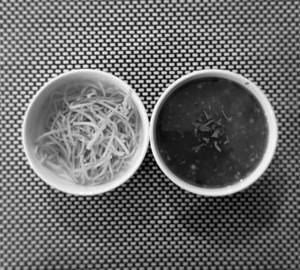 Man chow chicken soup