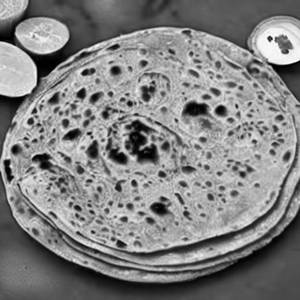 Paratha