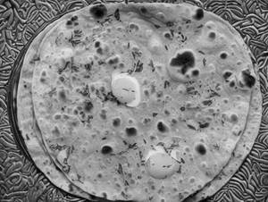 Egg Chapati