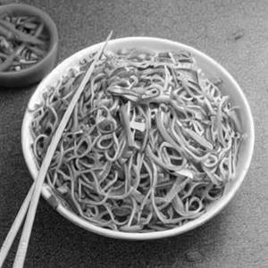Chinese Hub Special Hakka Noodles