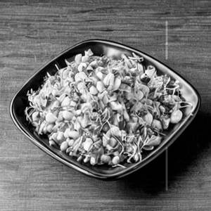 Sprouts Salad
