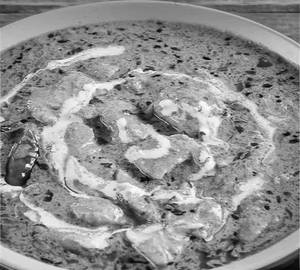 Chicken Tikka Makhani