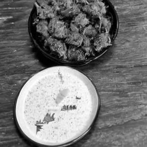 Pichu Potta Nattu Kozhi Fry