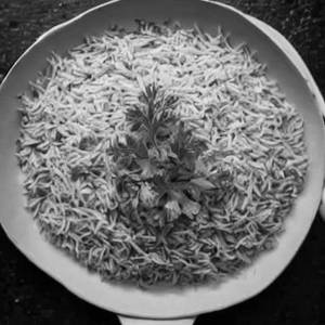 Plain Rice