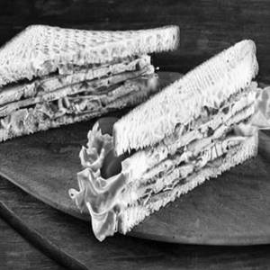 Chicken Club Cheese Sandwich