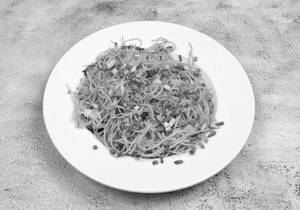 Vegetable Noodles