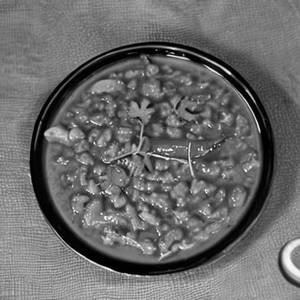 Sambar Rice