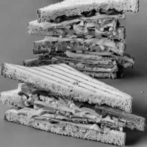 Veg Cheese Sandwich