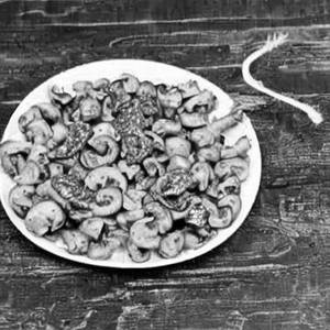 Schezwan Mushroom