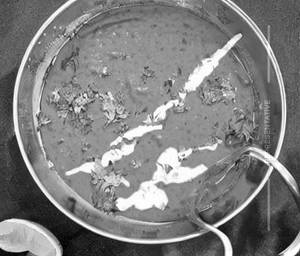 Dal Fry Butter