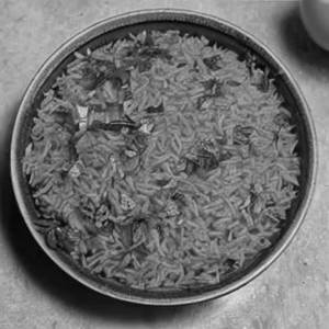 Tomato Rice