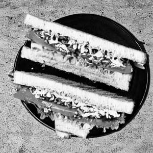 Khakhra Sandwich