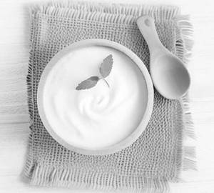 Plain Curd