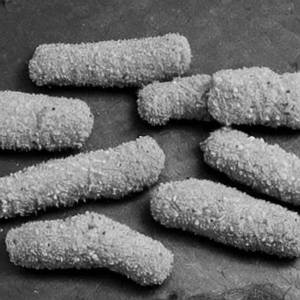 Fish Fingers