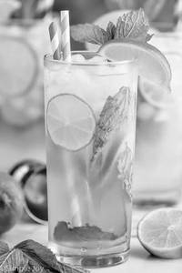 MINT MOJITO