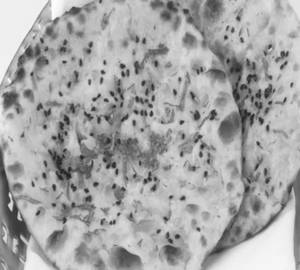 Kulcha