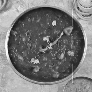 Dal Tadka
