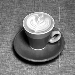 Cafe Latte