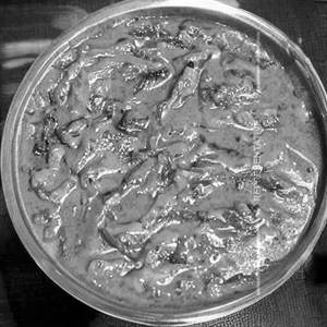 Palak Cream