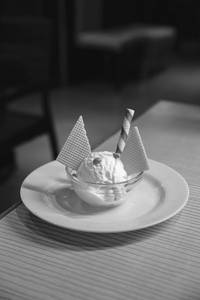 Vanilla Icecream