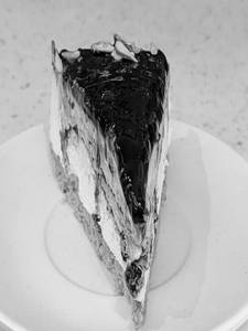 Blueberry Cheese Slice