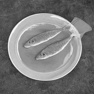 Apollo Fish