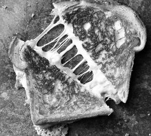 Cheese Grilled Sandwiches 