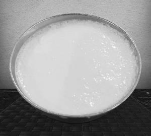 Plain Curd