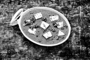 Paneer Shahi Kurma