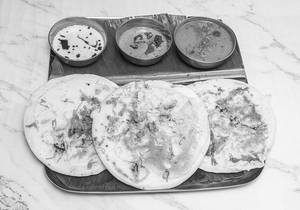 Set Dosa