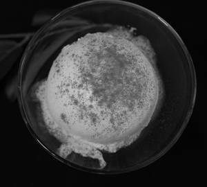 Fresh Guava Icecream