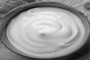 Plain Curd